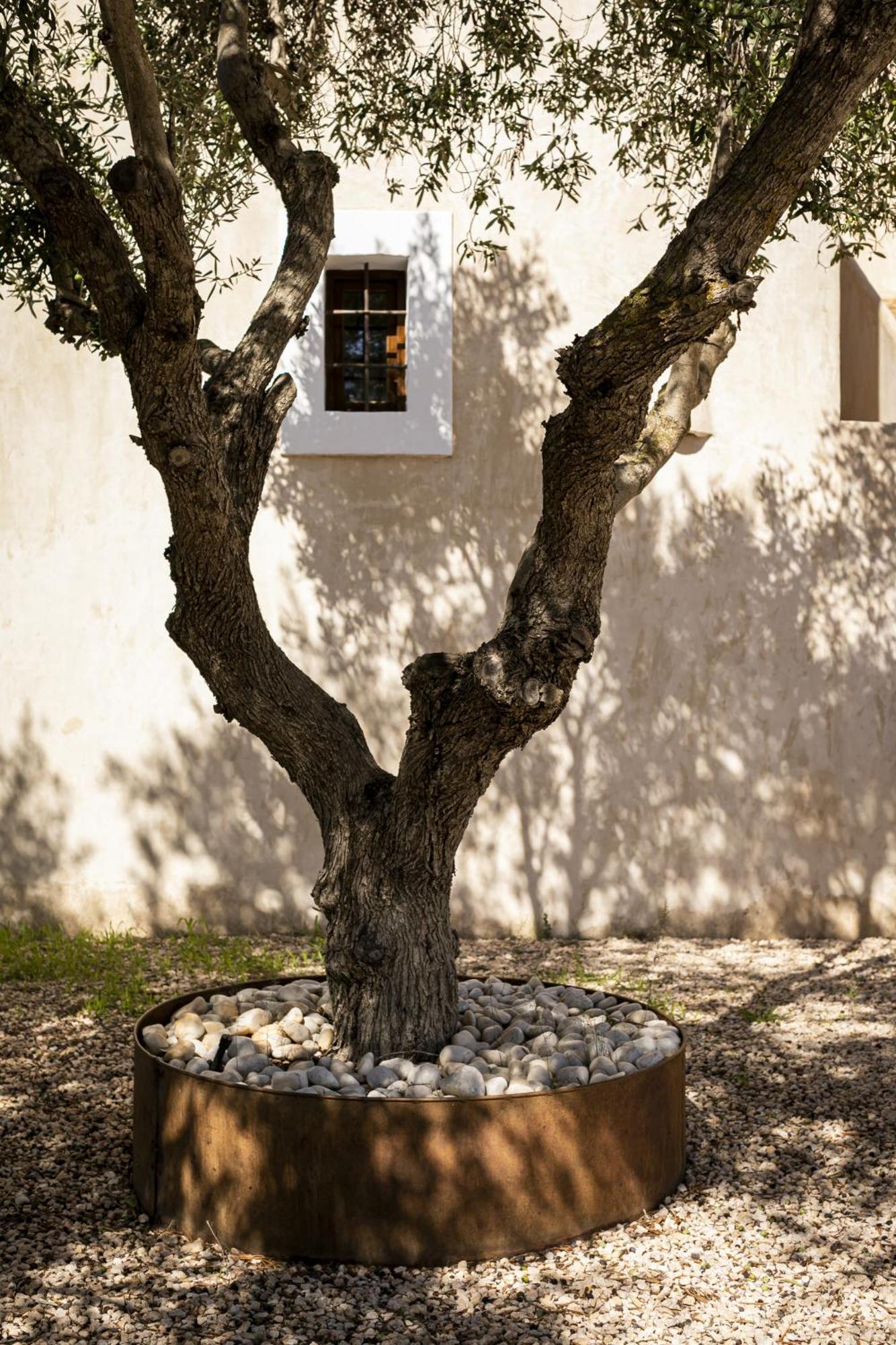 Can Noves - Villa De 4 Suites 35 Y 52 San Francisco Javier 外观 照片